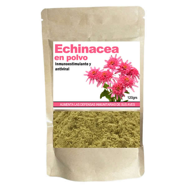 Echinacea en polvo (promueve las defensas inmunitarias)